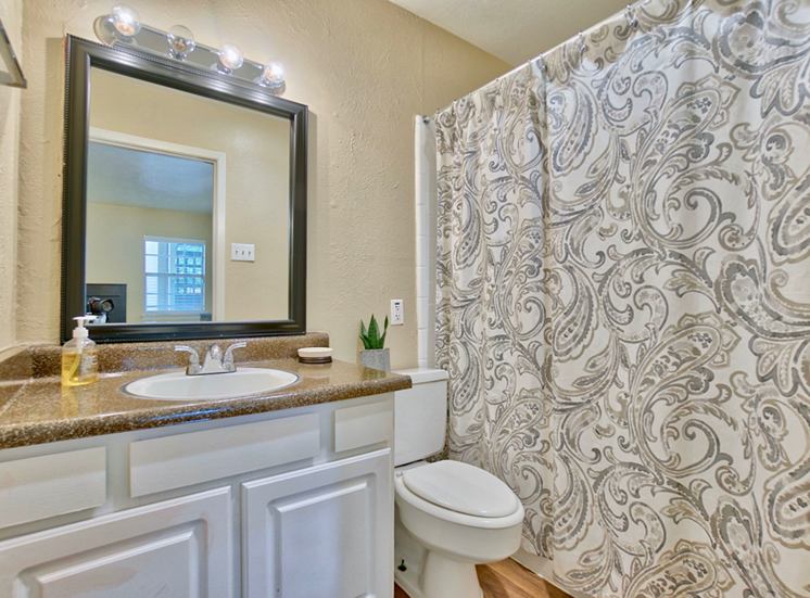 bathroom shower and vanity l Woodlands of Plano Apartments in Texas